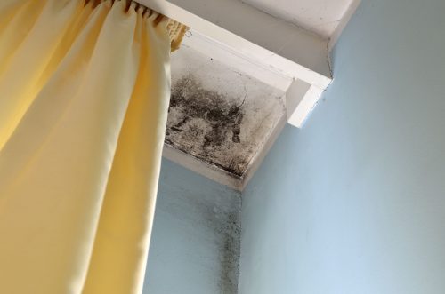 Corner of ceiling with mold